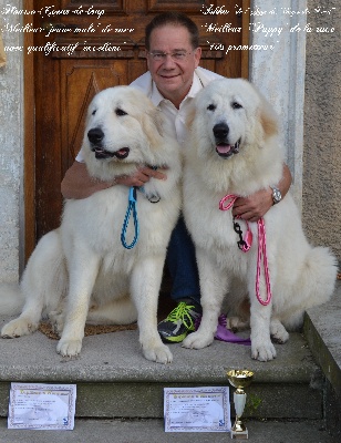 De L'Ange Des Vosges Du Nord - Internationale CACS  CACIB de Besançon octobre 2013