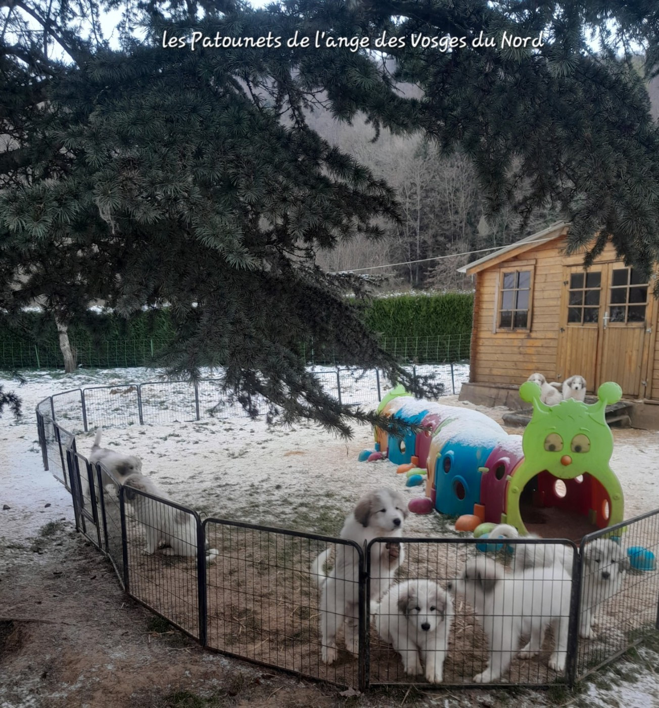 PORTEE DE URANIE ET C'HALOURS